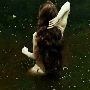 Meet your Posher, Noelle